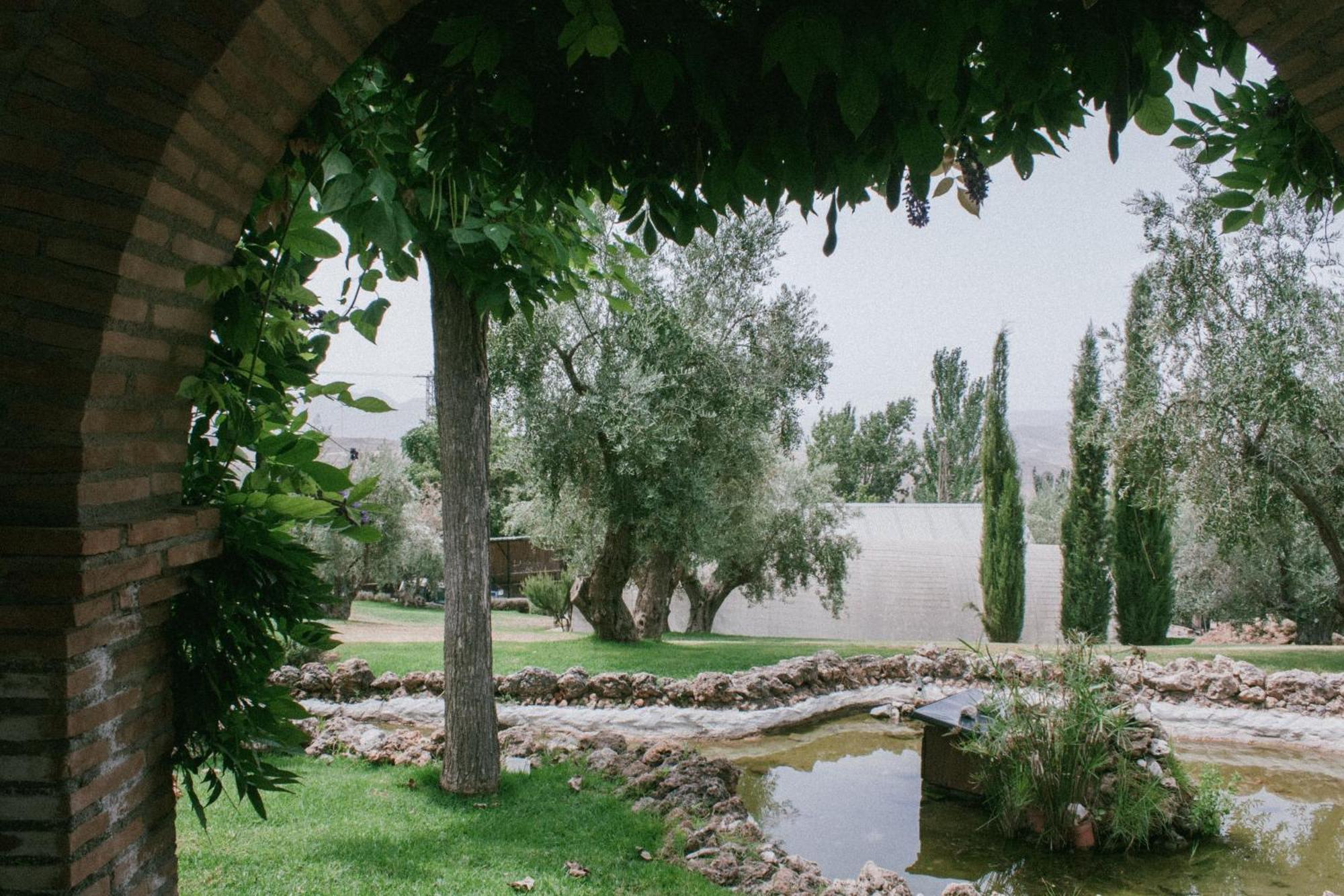 Hotel Rural Alqueria De Los Lentos Nigüelas Quarto foto